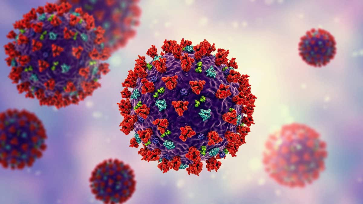 Controle emocional na pandemia: cuidados práticos 4 covid pandemia
